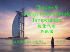 體溫 ----- 蘇州大學(xué) 生理學(xué)