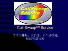 coilsweep_CHIN清洁大井眼、大斜度、水平井的连续油管新技术