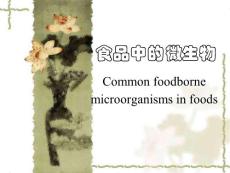 食品中的微生物