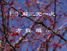 浙教版七下4.3解二元一次方程組1