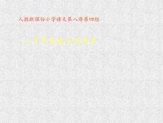 《一個中國孩子的呼聲》ppt課件2-人教版四年級語文下冊