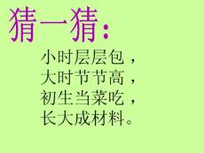 [二年級語文]3筍芽兒