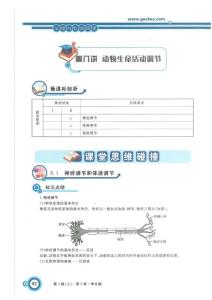 高三生物 高考一轮复习  完美详细讲义 精品 第八讲 动物生命活动调节