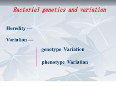 4、遺傳變異