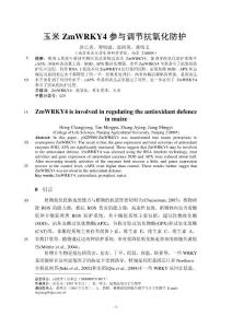 农学论文：玉米ZmWRKY4参与调节抗氧化防护