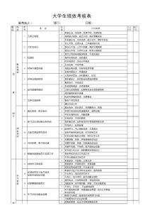 試用期內大學生績效考核表