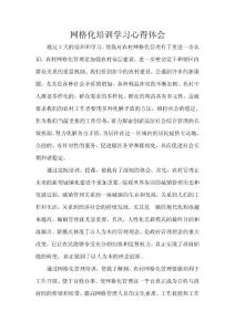 網格化培訓學習心得體會