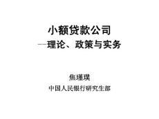 中国人民银行研究生部焦瑾璞————小额贷款公司的理论政策与实务