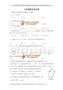 苏教版2013年九年级下册期中初三数学测试题及答案