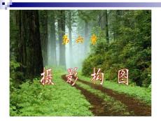 第六章攝影構(gòu)圖