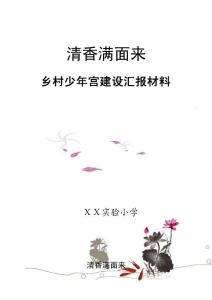 乡村少年宫建设汇报材料