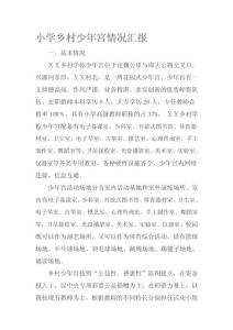 小学乡村少年宫情况汇报