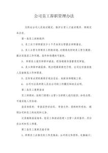 小微企业融资担保有限公司公司员工辞职管理办法