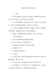 小微企业融资担保有限公司试用期员工考核管理办法