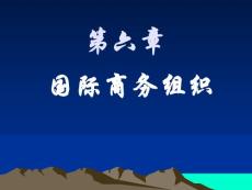 第六章+国际企业组织管理
