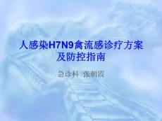 禽流感课件