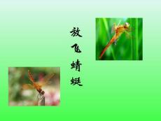 放飞蜻蜓教学PPT课件苏教版语文三年级下册第19课