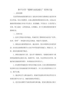和平小學專業(yè)化教師培養(yǎng)制度