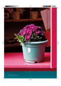 天堂拐角 靜享鼓浪嶼被放慢的時光《和諧之旅》2013年4月