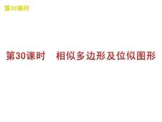 2010中考湘教数学专题复习第30课时 相似多边形及位似图形