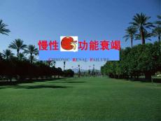 慢性肾功能衰竭