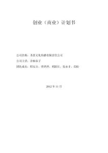 文化传播公司创业计划书