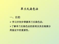 革兰氏染色