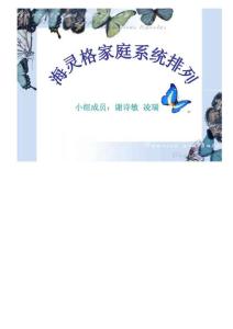 海靈格家庭系統排列