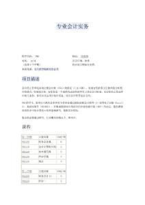 专业会计实务