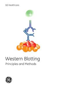 WB_principles_and_method