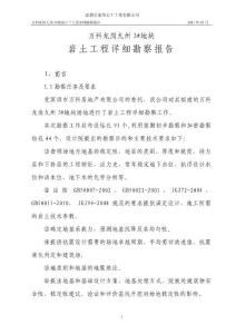 深圳新老西城中村改造3#地塊詳細勘察報告