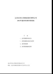 西太岳煤業股份有限公司2013年盈利預測審核報告