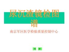 尿沉渣圖譜