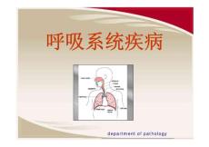 呼吸系统疾病 The respiratory system disease 183p
