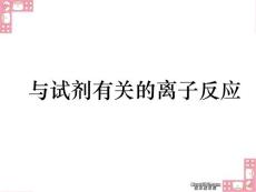 離子反應(yīng)2