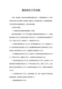 縣扶貧辦工作總結(jié)