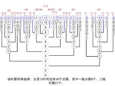 水稻分蘖规律图