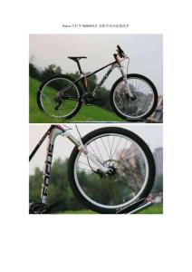 德國Focus自行車RAVEN 5.0 全碳車架內走線技術