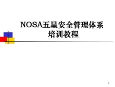 NOSA五星安全管理體系培訓教程