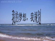 大学生职业生涯规划-王朋磊