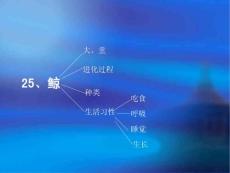 鲸的自述[小学语文课件 PPT课件 教学课件]