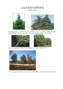 大連常用綠化樹種圖錄