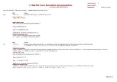 CAP_High Risk Issues(HONECHO)