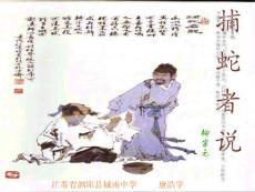 捕蛇者说[中学语文课件 PPT课件 教学课件]