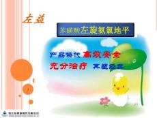 左益ppt
