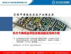 2011年10月郑州东方今典杨金项目发展战略及招商方案