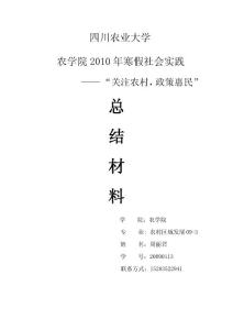 2010年寒假社会实践