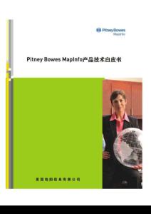 Pitney Bowes MapInfo产品白皮书