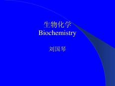 2013年《生物化学》ppt课件合集（1-3）-（中国农业大学）刘国琴