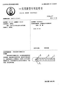 CN93229766.8-一种具有消字功能的文具